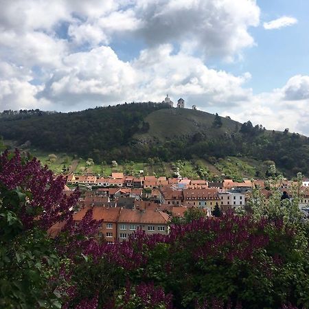 Apartman Havenatura Mikulov Bagian luar foto